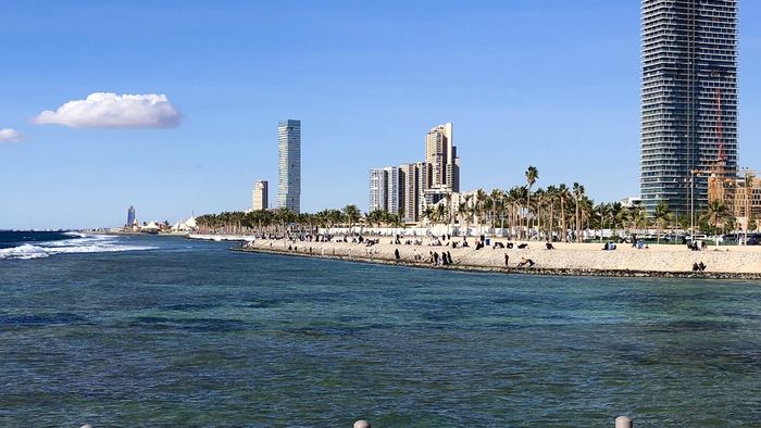 Palm-lined waterfront and towers along the Red Sea coast at Jeddah